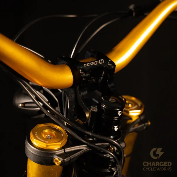 Buy Custom Surron Light Bee - CUSTOM BIKE BUILD (Local Pickup Only) - Image 4